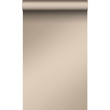 wallpaper plain shiny bronze